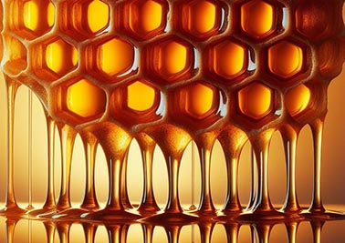 panal de abejas lleno de miel